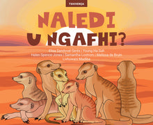 Where is Naledi?